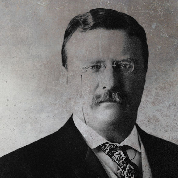 The Midwife for the Imperial Presidency—Theodore Roosevelt